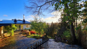 Panorama Haus auf dem Sommerberg im Schwarzwald